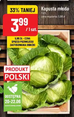 Polomarket Kapusta młoda oferta