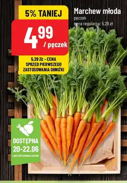 Polomarket Marchew młoda oferta