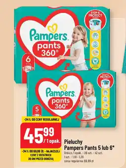 Polomarket Pieluchy Pampers Pants 5 lub 6 Orbico, 36 szt. - 42 szt. oferta