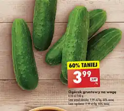 Biedronka Ogórek gruntowy na wagę 1 kg oferta