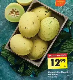 Melon Little Planet 1 kg