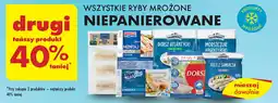 Biedronka WSZYSTKIE RYBY MROŻONE NIEPANIEROWANE oferta
