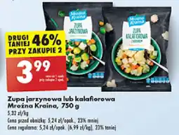 Biedronka Zupa jarzynowa lub kalafiorowa Mroźna Kraina, 750 g oferta