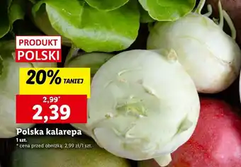 Lidl Kalarepa polska oferta