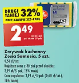Zmywak kuchenny Zosia Samosia 5szt.