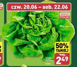 ALDI Sałata masłowa oferta