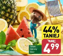 ALDI Cytryny 1 kg oferta
