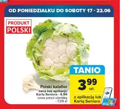 Carrefour Polski kalafior oferta