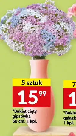 Twój Market Bukiet cięty gipsówka 50 cm, 1 kpl. oferta