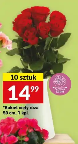 Twój Market *Bukiet cięty róża 50 cm, 1 kpl. oferta