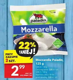 Mozzarella Paladin, 125 g