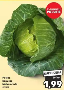 Kaufland Kapusta młoda oferta
