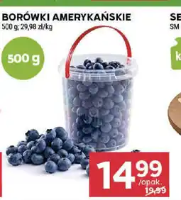 Stokrotka BORÓWKI AMERYKAŃSKIE 500g oferta