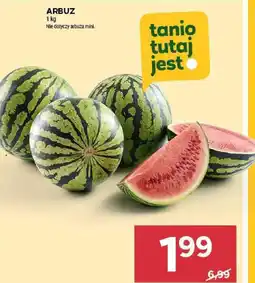 Stokrotka ARBUZ 1 kg oferta
