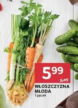Stokrotka WŁOSZCZYZNA MŁODA 1 pęczek oferta