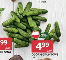 Stokrotka OGÓRKI GRUNTOWE 1 kg oferta