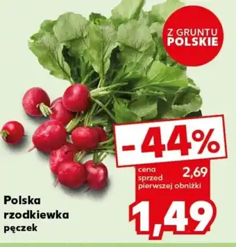 Kaufland Polska rzodkiewka pęczek oferta
