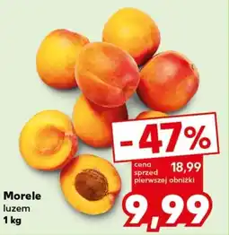 Kaufland Morele 1 kg oferta