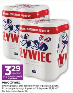 Stokrotka PIWO ŻYWIEC 500 ml oferta