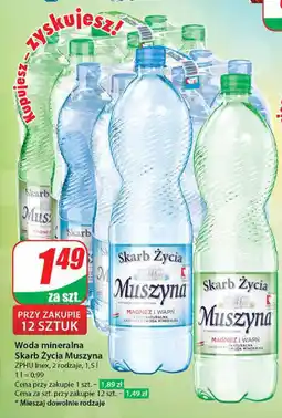 Dino Woda mineralna Skarb Życia Muszyna 1,5 l oferta