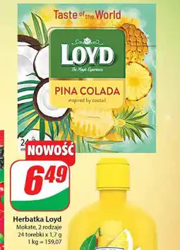 Dino Herbatka Loyd oferta