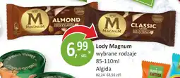 Passa Lody Magnum Algida 85-110ml oferta