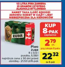 Carrefour Piwo ŻUBR 8 x 0,5 l oferta