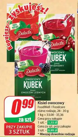 Dino Kisiel owocowy 28-30 g oferta