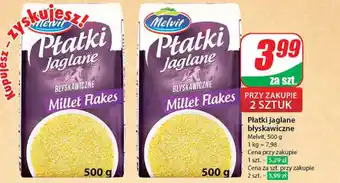 Dino Płatki jaglane błyskawiczne 500 g oferta