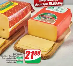 Dino Ser Gouda, 1 kg oferta