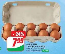 Dino Jaja świeże z wolnego wybiegu oferta