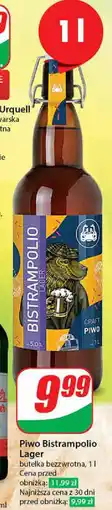 Piwo Bistrampolio Lager 1 l