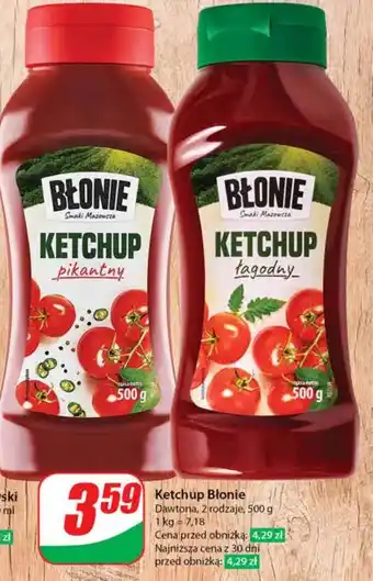 Dino Ketchup Błonie oferta