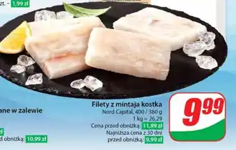Dino Kostka z mintaja oferta