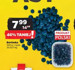 Netto Borówka oferta