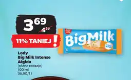 Netto Lody Big Milk Intense Algida oferta