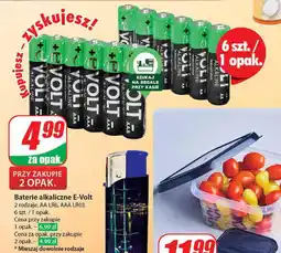 Dino Baterie alkaliczne E-Volt AA LR6, AAA LR03 6 szt. oferta