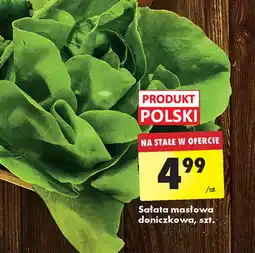 Biedronka Sałata masłowa Polski oferta