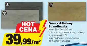 Bricomarche Gres szkliwiony Scandinavia 30x60x0,7cm m^2 oferta