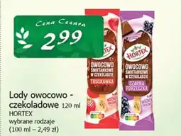 Cezar Delikatesy Lody owocowo- czekoladowe 120 ml HORTEX oferta