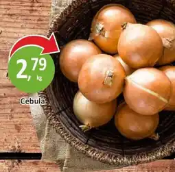 Cebula 1kg