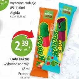 Orzech Lody Kaktus Froneri 45ml oferta