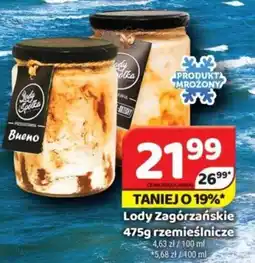 Delfin Lody Zagórzańskie rzemieślnicze 475g oferta