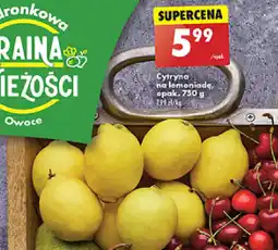 Biedronka Cytryna na lemoniadę 750 g oferta