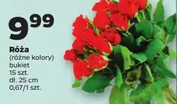 Netto Róża oferta