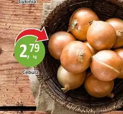 Passa Cebula oferta