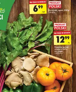 Biedronka Boczniak 250 g oferta