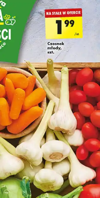 Biedronka Czosnek młody oferta