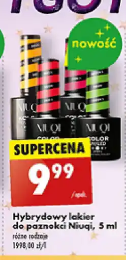 Biedronka Hybrydowy lakier do paznokci Niuqi, 5 ml oferta