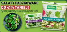 SAŁATY PACZKOWANE